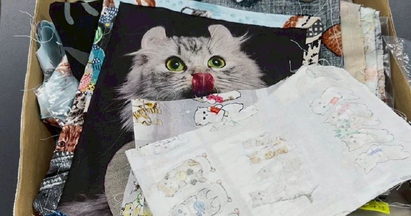 就労継続支援A型事業所で制作されたネコ柄巾着がテーブルに並んでいる様子